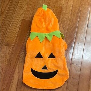 Pumpkin Costume for Pet- small dog or large cat